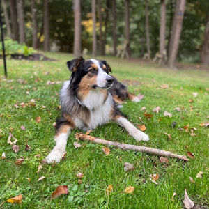 Meet your Posher, Brooke